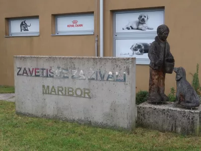 Zavetišče za živali Maribor. Foto: Tatjana Pihlar 