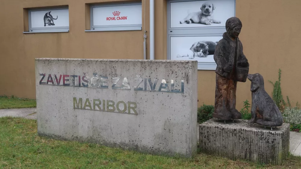 Zavetišče za živali Maribor. Foto: Tatjana Pihlar 