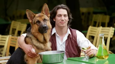 Komisar Rex je že stalnica na zaslonih. / Foto: Planet Tv