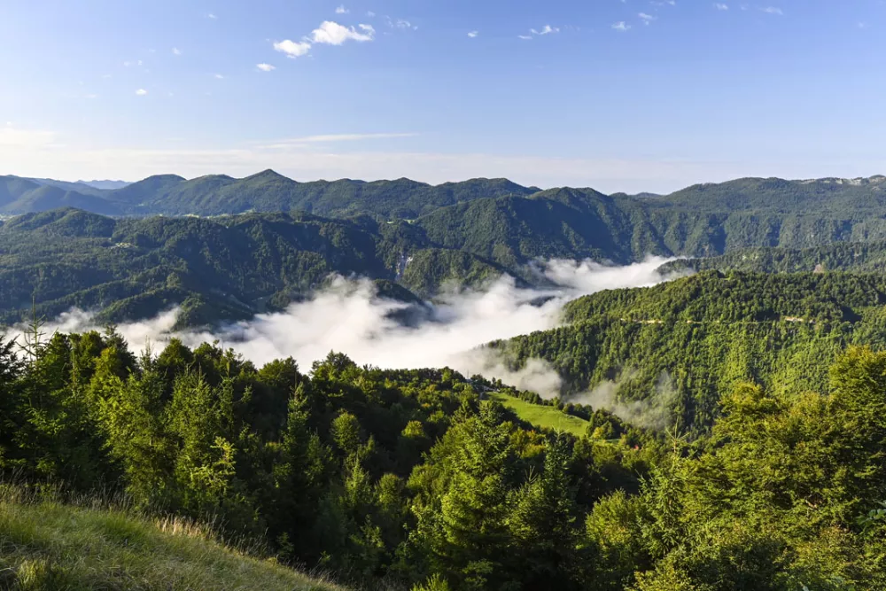 Pogled s Hleviške planine proti Špičastemu vrhu / Foto: Franci Horvat