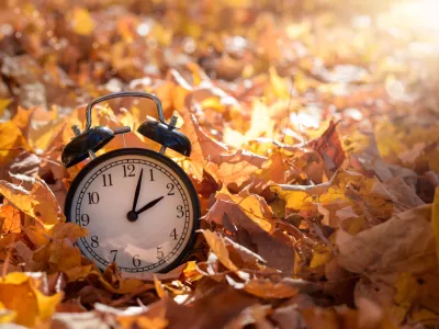 Alarm clock among golden yellow fall leaves with bright sunshine, autumn time change concept / Foto: Juliealexk