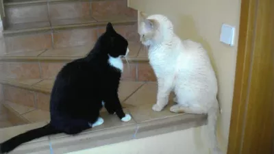 Muci Timi in Maša / Foto: Karl Drago Walch