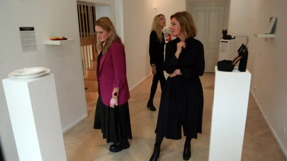 Muzej izgovorov: opozarjanje na dejstvo, da odgovornost za nasilje nosi storilec