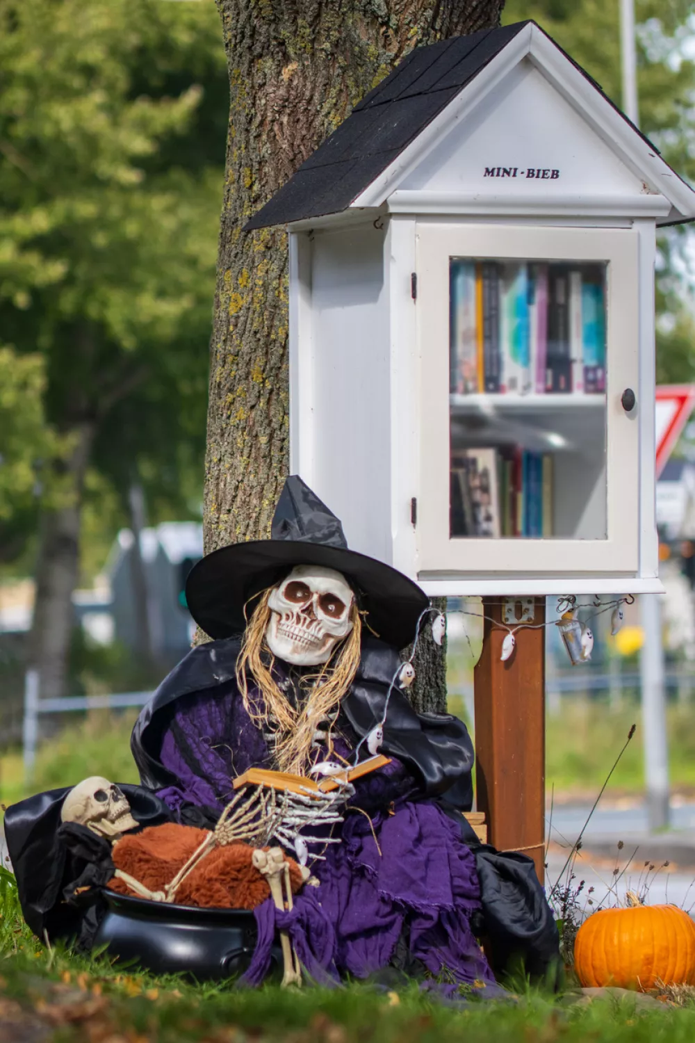 A Halloween-themed Little Free Library decorated with a skeleton dressed as a witch, sitting in front of the bookcase, surrounded by festive decorations such as a pumpkin and a small skeleton. The small public book exchange stands against a tree, inviting passersby to borrow or swap books, with a playful and spooky Halloween atmosphere.