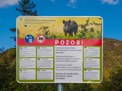 Afriška prašičja kuga prizadene tako domače kot tudi divje prašiče. Ponekod so že postavili takšne table. 