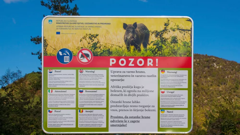 Afriška prašičja kuga prizadene tako domače kot tudi divje prašiče. Ponekod so že postavili takšne table. 