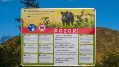 Afriška prašičja kuga prizadene tako domače kot tudi divje prašiče. Ponekod so že postavili takšne table. 