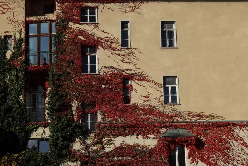 - 24.10.2025 - reportaža jesen, Ljubljana//FOTO: Jaka Gasar