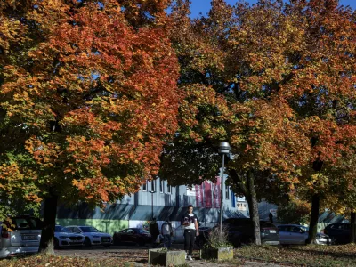 - 24.10.2025 - reportaža jesen, Ljubljana//FOTO: Jaka Gasar