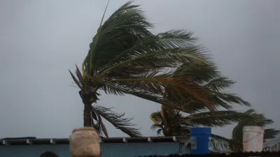 Palm trees are shaken by the wind, ahead of Hurricane Melissa at Hellshire Beach, in the coastal town of Hellshire, Jamaica, October 26, 2025. REUTERS/Octavio Jones