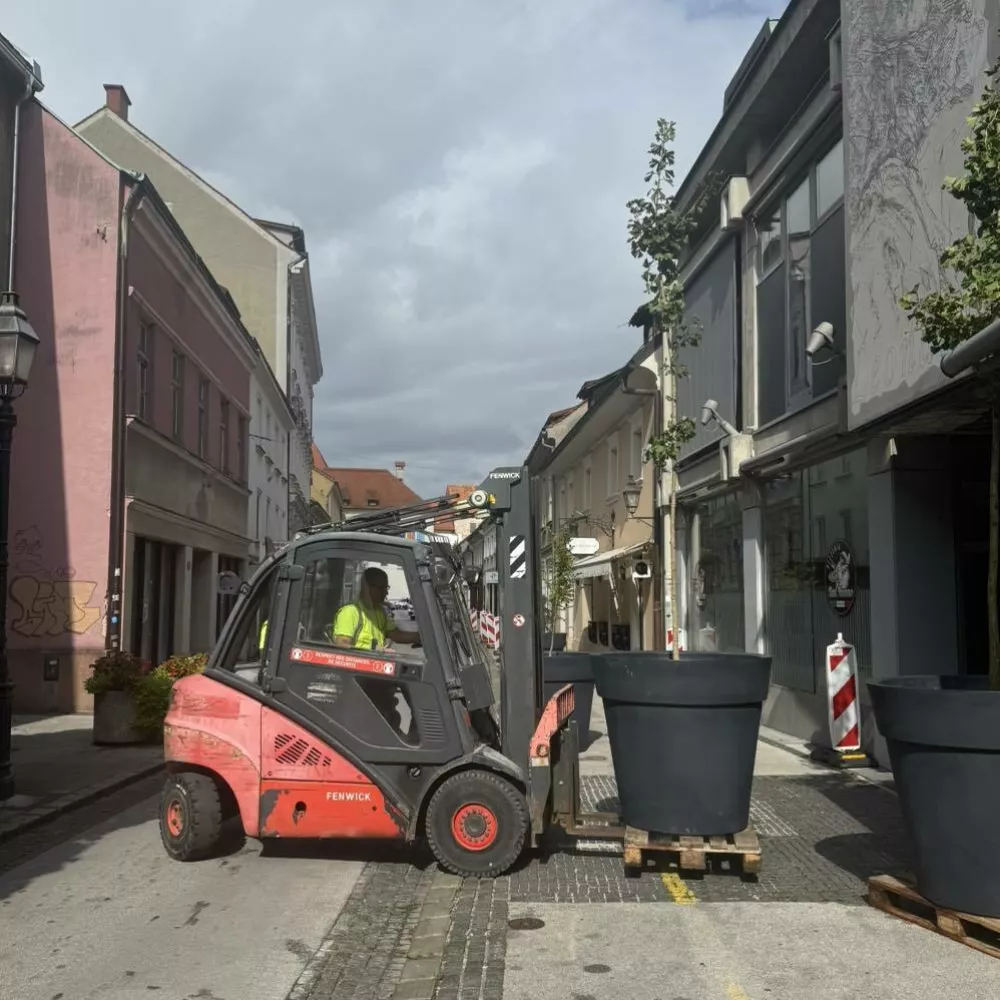 Namesto avtomobilov cvetlični lonci