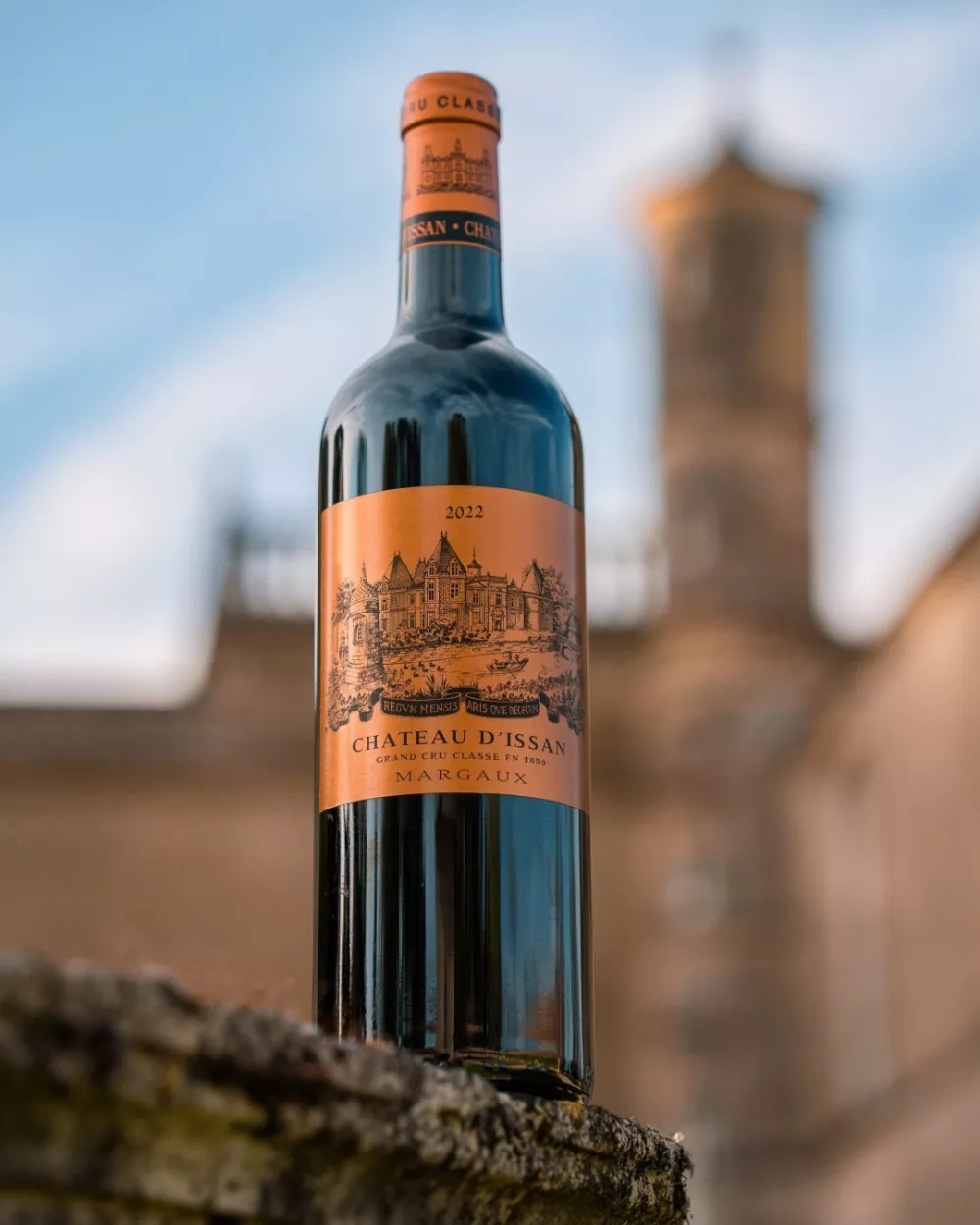 af w'i9f / Foto: Dff