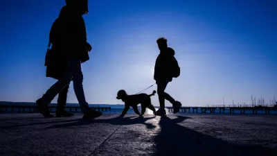 ﻿Sprehod s psom, pes, Portorožfoto: Bojan Velikonja