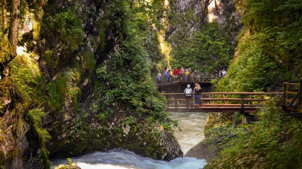 The Vintgar Gorge or Bled Gorge is a 1.6-kilometer gorge in northwestern Slovenia in the municipalities of Gorje and Bled.
