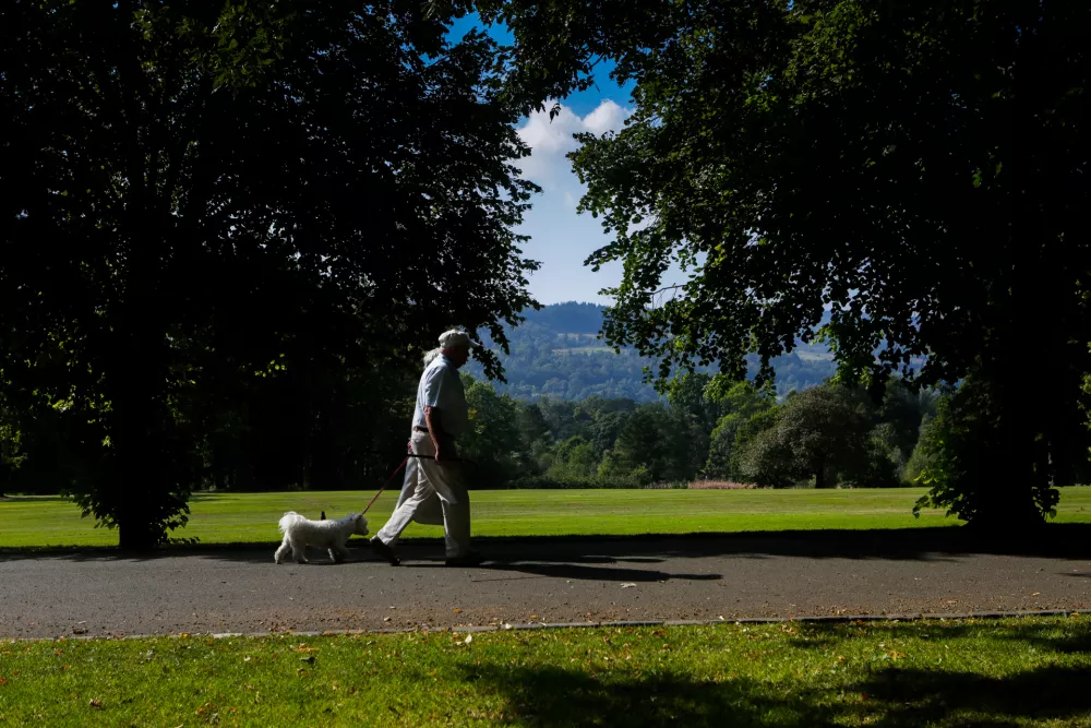 ﻿simbolična fotografija, park, upokojenec, pes, sprehodŠkotska, Glasgowfoto: Bojan Velikonja