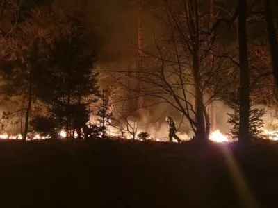 Gašenje požara na Rožniku. 