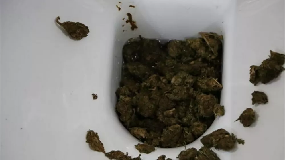 Ženska se je skušala drog znebiti tako, da jih je vrgla v straniščno školjko. 