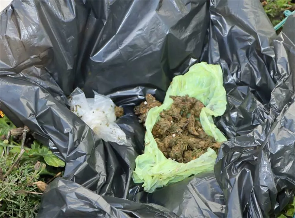 Hišna preiskava in zaseg droge. 