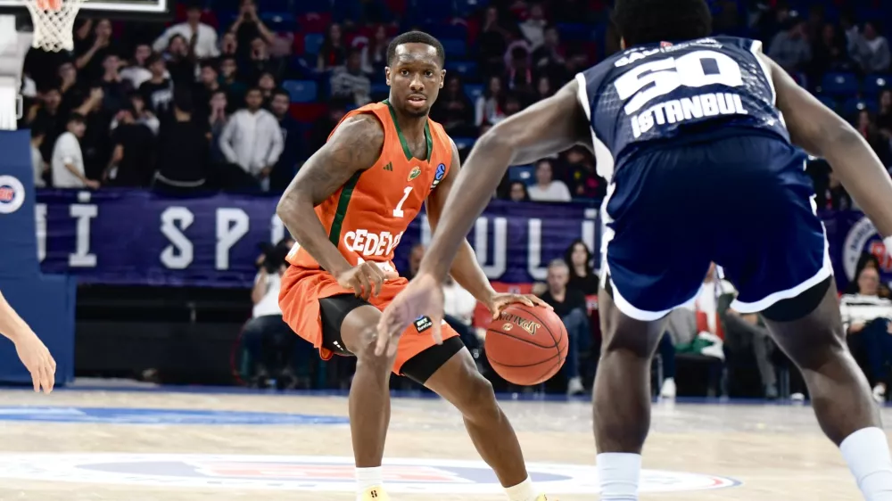 Umoja Gibson, Cedevita Olimpija, Bahčešehir