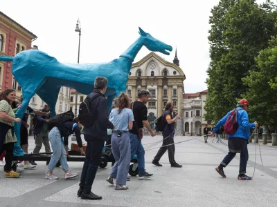 Konj Marko, ki je v 70. letih v Trstu nastal kot izraz upora proti institucionalizaciji, se je letos odpravil na pot po Sloveniji. / Foto: Bojan Velikonja