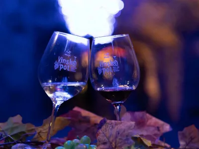 Vinska pot v rovih pod starim Kranjem