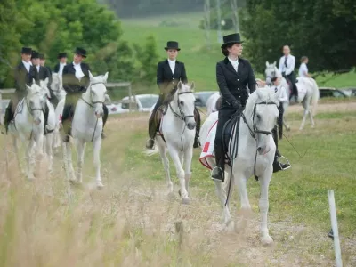Krumperk ostaja dom konj – za zdaj