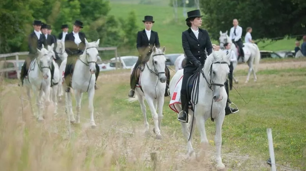 Krumperk ostaja dom konj – za zdaj
