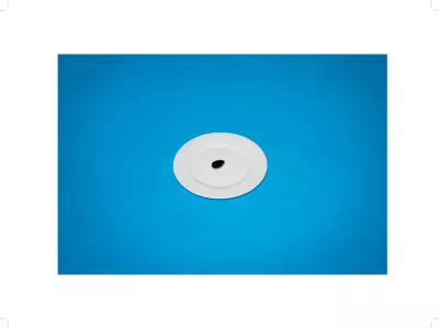 A solitary olive, a fast-food binge... and a birthday cake: The bizarre last meals of death row killers before they face execution..Even though they have been condemned to die for their crimes, the humanity of offering a death row prisoner a final meal fascinates like few other requests..Inspired by the forgiving gesture, Julia Ziegler-Haynes, a Brooklyn-based artist, has exhaustively trawled through the public records of death row inmates and selected 24 last meals, painstakingly recreated them and then photographed them..Produced for a book known as 'Today's Special', each one was cooked and prepared to the exact recorded likings and specifications of each prisoner, from a fast food blow-out to a single un-pitted black olive..'Essentially, these prisoners had become guests in my home. And so, despite having been immersed in the hideous details of each crime, I repeatedly found myself feeling empathetic towards them. Especially those whose requests were so meager,' states Ziegler-Haynes.Â ..For example, one photograph depicts a black un-pitted olive, another, a single cup of coffee..Having been planning her photographic project for the past decade, the sculptor and printmaker shot her meals from the vantage point of the diner..This placed the viewer in the place of the condemned man and to help them think about what could possibly have been going through their mind as they ate their meal..Her visual aesthetic is inspired by Christian Boltanski?s Compositions décoratives (1976), and significantly influenced by the food styling from that era with its faded backdrops and unappetizing simplicity â€" likened to food images from the windows of cheap restaurants..Envisioning how each meal would appear served in the prisons, Ziegler-Haynes then juxtaposed her versions against vibrant backgrounds to liven what she assumed to be the opposite of their actual presentation.Â .'I imagine, for instance, they serve frozen hamburger patties on commercially made buns,' she states,Image: 327072526, License: Rights-managed, Restrictions: * France, Germany, Italy and United Kingdom Rights OUT *, Model Release: no