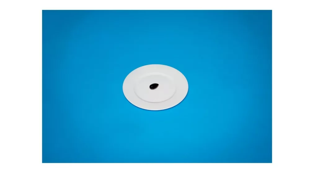 A solitary olive, a fast-food binge... and a birthday cake: The bizarre last meals of death row killers before they face execution..Even though they have been condemned to die for their crimes, the humanity of offering a death row prisoner a final meal fascinates like few other requests..Inspired by the forgiving gesture, Julia Ziegler-Haynes, a Brooklyn-based artist, has exhaustively trawled through the public records of death row inmates and selected 24 last meals, painstakingly recreated them and then photographed them..Produced for a book known as 'Today's Special', each one was cooked and prepared to the exact recorded likings and specifications of each prisoner, from a fast food blow-out to a single un-pitted black olive..'Essentially, these prisoners had become guests in my home. And so, despite having been immersed in the hideous details of each crime, I repeatedly found myself feeling empathetic towards them. Especially those whose requests were so meager,' states Ziegler-Haynes.Â ..For example, one photograph depicts a black un-pitted olive, another, a single cup of coffee..Having been planning her photographic project for the past decade, the sculptor and printmaker shot her meals from the vantage point of the diner..This placed the viewer in the place of the condemned man and to help them think about what could possibly have been going through their mind as they ate their meal..Her visual aesthetic is inspired by Christian Boltanski?s Compositions décoratives (1976), and significantly influenced by the food styling from that era with its faded backdrops and unappetizing simplicity â€" likened to food images from the windows of cheap restaurants..Envisioning how each meal would appear served in the prisons, Ziegler-Haynes then juxtaposed her versions against vibrant backgrounds to liven what she assumed to be the opposite of their actual presentation.Â .'I imagine, for instance, they serve frozen hamburger patties on commercially made buns,' she states,Image: 327072526, License: Rights-managed, Restrictions: * France, Germany, Italy and United Kingdom Rights OUT *, Model Release: no