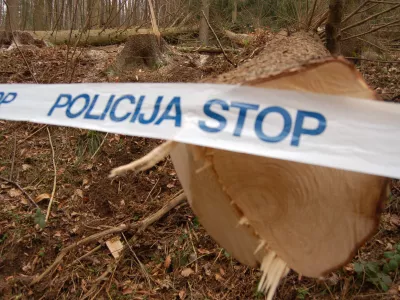 gozd; nesreča; policija;