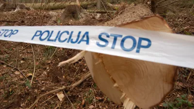 gozd; nesreča; policija;