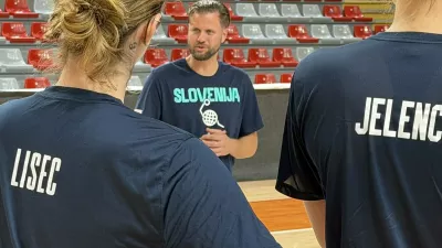 David Gaspar, Slovenija