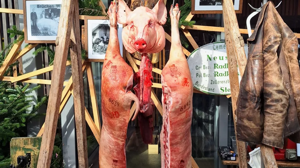 Izmera prašiča v novi preobleki: Koline kot kulinarični spektakel