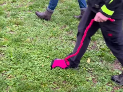 Nemška pasja trenerka Barbara Gerlinger je ustvarila trend »Hobby Dogging« – sprehajanje in šolanje namišljenih psov, ki naj bi izboljšalo zbranost in samozavedanje vodnika. Foto: posnetek zaslona/Instagram