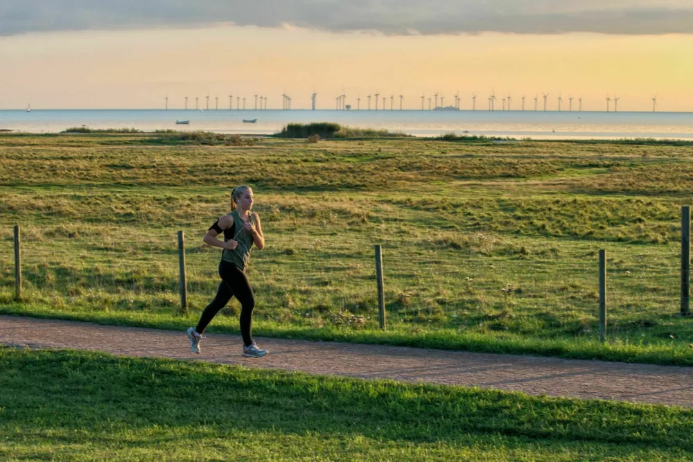 Švedska / Foto: / Foto: iStock