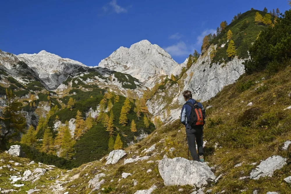 Pot na Adama in Evo / Foto: Franci Horvat