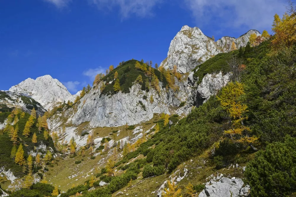 Skednjevec, Adam in Eva / Foto: Franci Horvat