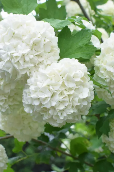 Slika je simbolična. / Foto: Istock