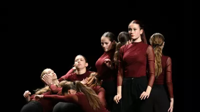 Festival plesnih radovednežev