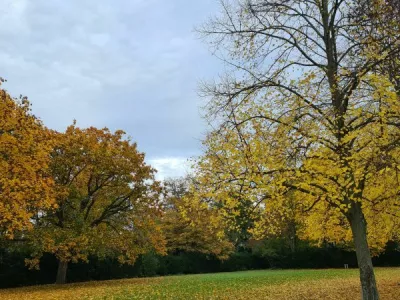 jesen, oblaki, november