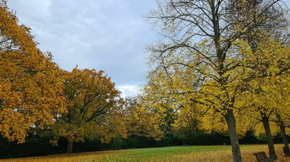 jesen, oblaki, november