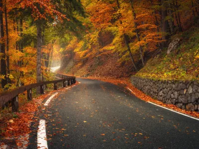 Danes bo toplejši jesenski dan, z nekaj dežja, ponekod celo s soncem. Ceste naj ne bi bile pretirano obremenjene.