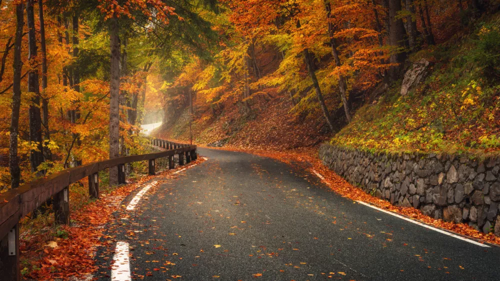 Danes bo toplejši jesenski dan, z nekaj dežja, ponekod celo s soncem. Ceste naj ne bi bile pretirano obremenjene.