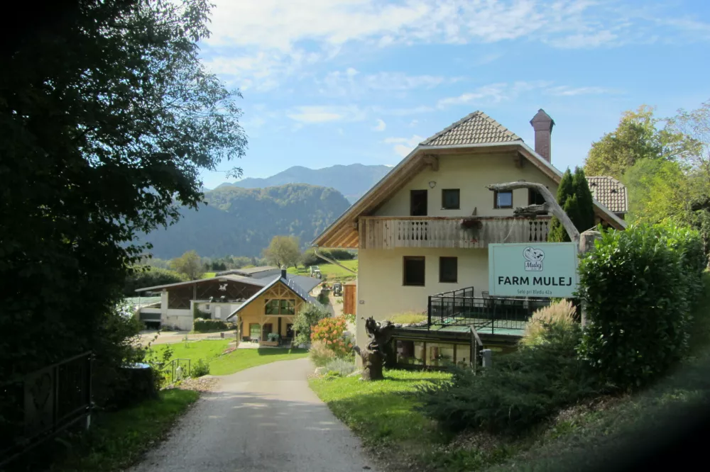 Na kmetiji Mulej nudijo veliko vrst mlečnih in mesnih izdelkov, med drugim tudi blejski ementaler in sušeno govedino, mi pa smo spoznali kako v praksi izgleda filozofija kmeta po načelu"srečna krava, srečen kmet". Turizem dominira razgled na hlev.