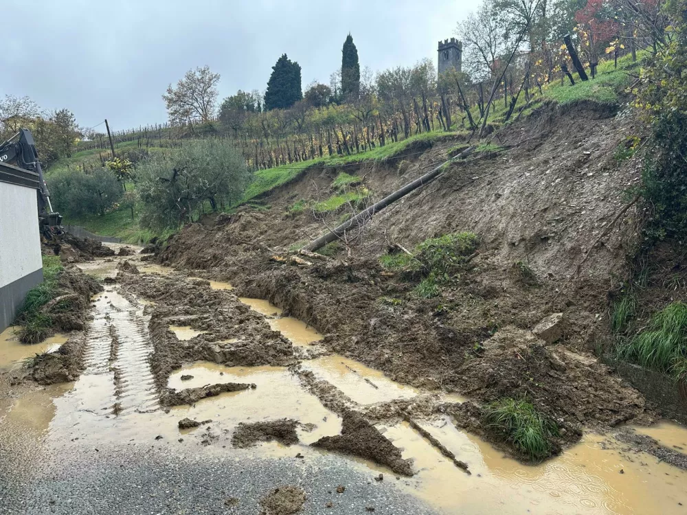 Foto: CZ občine Brda 