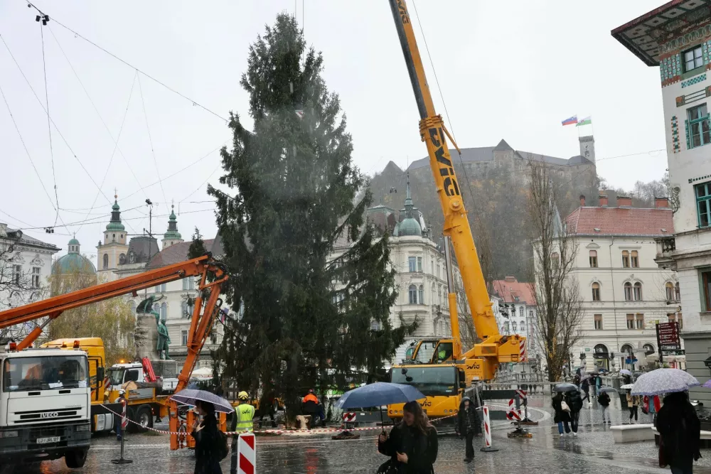 Postavitev smreke so si ogledali številni mimoidoči. Foto: Jaka Gasar