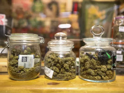 Evropska komisija za zdaj z rdečo lučjo za osebno rabo konoplje