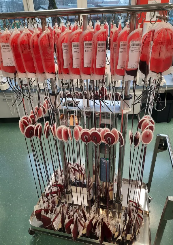 70 let solidarnosti: kako je Slovenija zgradila izjemen sistem preskrbe s krvjo