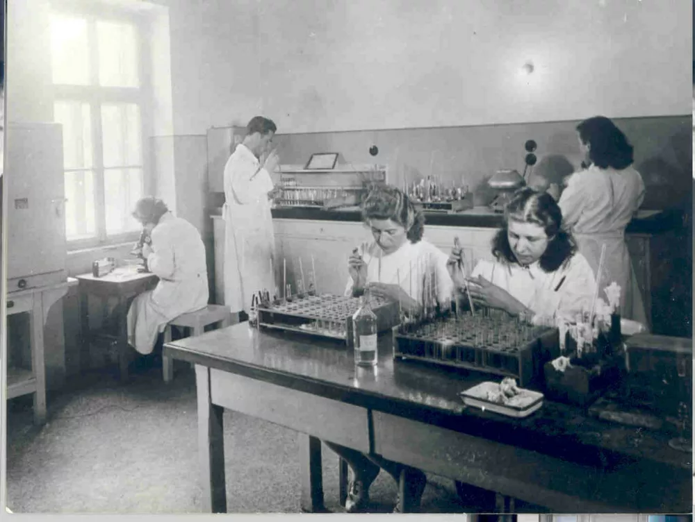 70 let solidarnosti: kako je Slovenija zgradila izjemen sistem preskrbe s krvjo