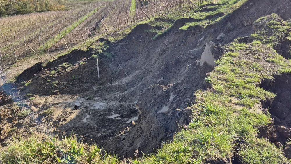 Plesivo v Goriskih Brdih.Ponedeljkovo dezevje je mocno poskodovalo vec vinogradov v Goriskih Brdih.Plaz v vinogradu.